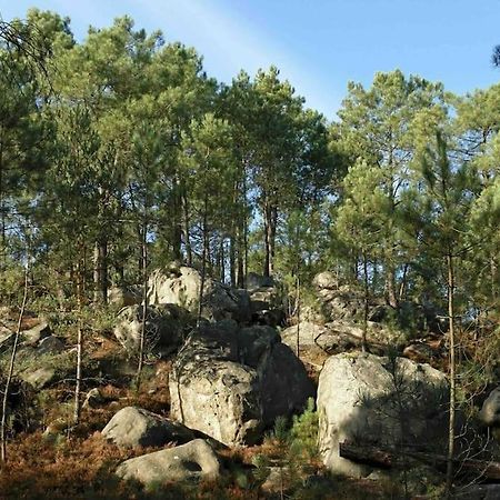 Maison De Campagne - Bois Le Roi 4 Pers Zewnętrze zdjęcie