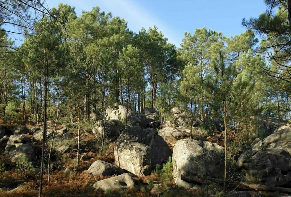Maison De Campagne - Bois Le Roi 4 Pers Zewnętrze zdjęcie